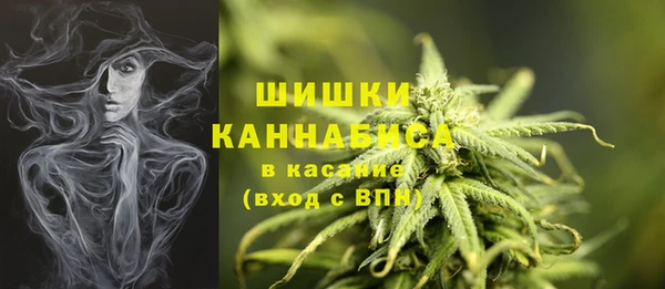 крисы Баксан