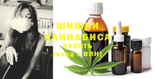 крисы Баксан
