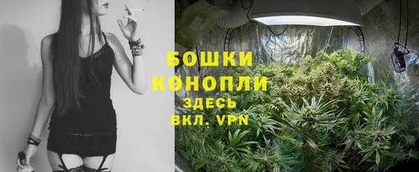 крисы Баксан