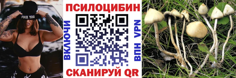 Псилоцибиновые грибы мицелий  ОМГ ОМГ зеркало  Сергач 